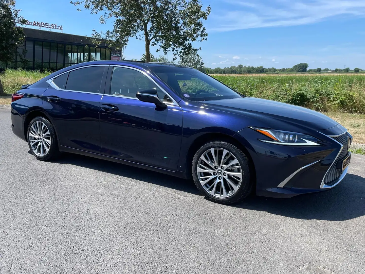 Lexus ES 300 300h Luxury Line, Aut, Schuif-kanteldak, Acc, Cam, Blauw - 2
