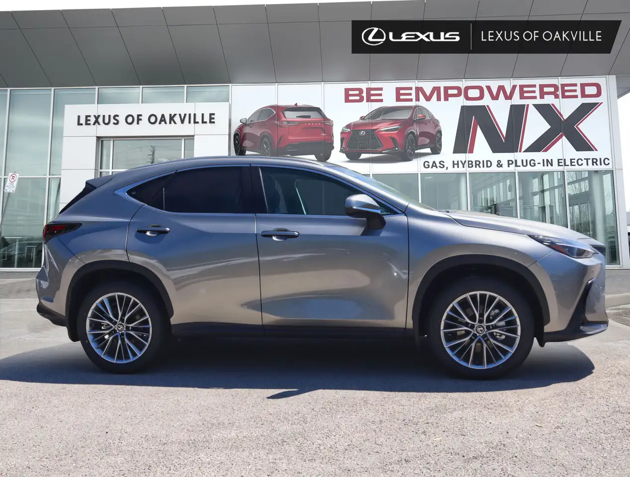 Lexus NX photo Lexus NX