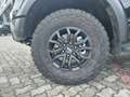 Ford Ranger Raptor Ranger Raptor 3.0 V6 - prezzo IVA INCLUSA Noir - thumbnail 6