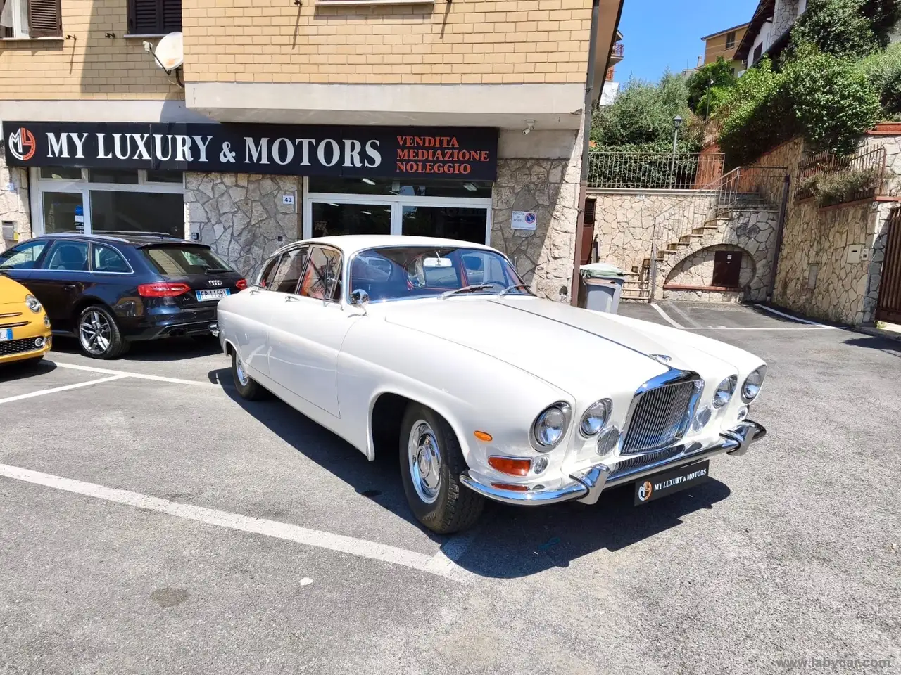 Jaguar Others 1965