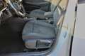 Volkswagen Golf 1.0 eTSI EVO DSG Life NEOPATENTATI Bianco - thumbnail 7