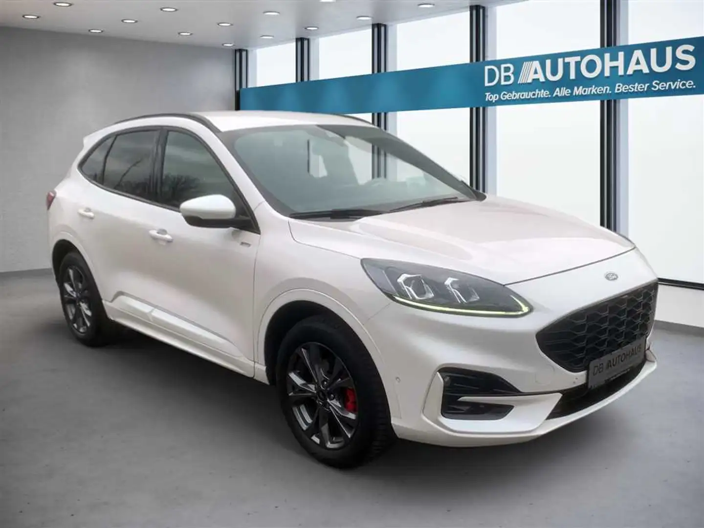 Ford Kuga ST-Line 2.5 DuraTec PHEV Autom Bianco - 2