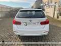 BMW 316 316d touring business advantage Bianco - thumbnail 4