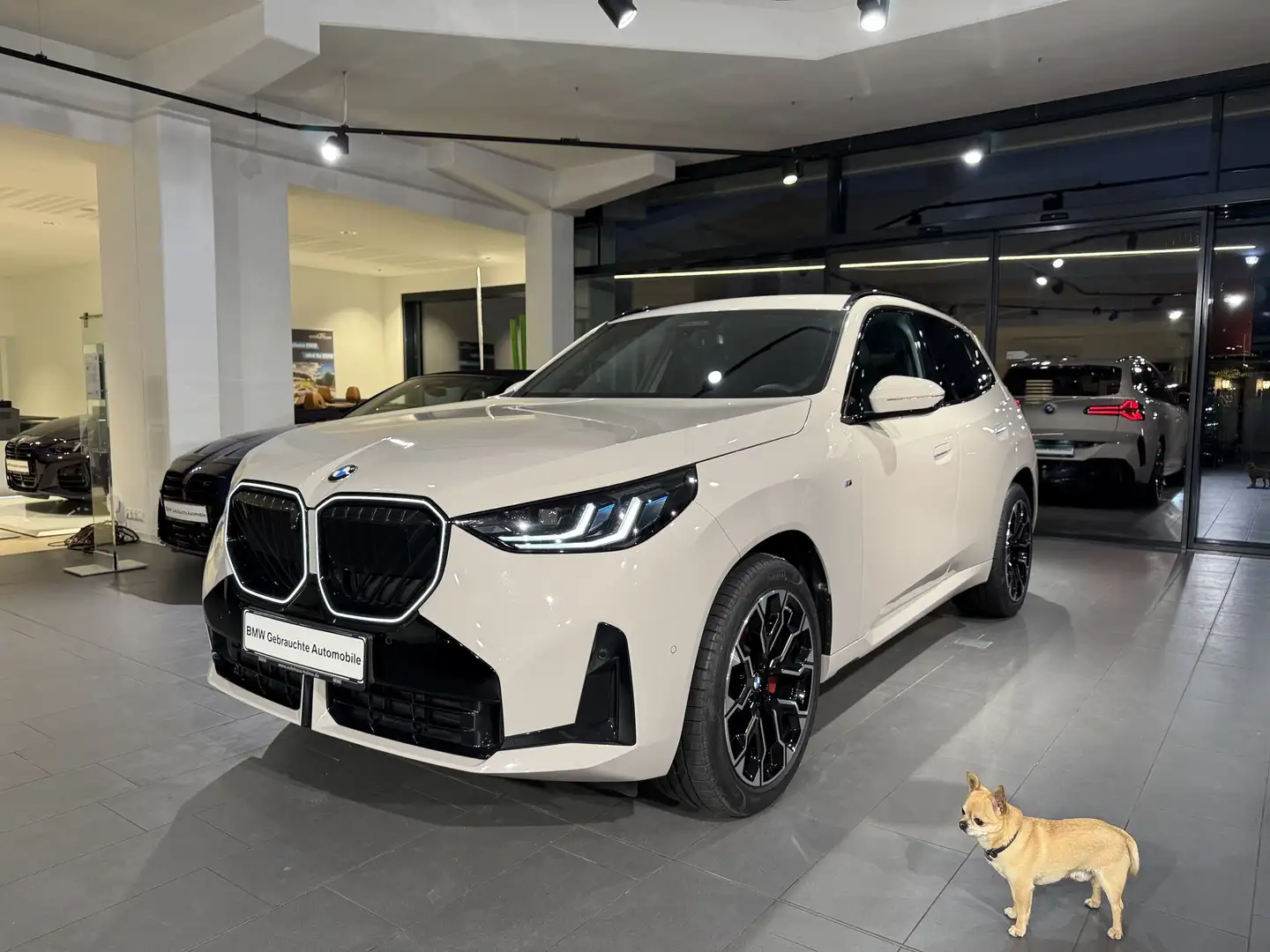 BMW X3 20d xDrive M Sport M Sportpaket HK HiFi DAB Grau - 1