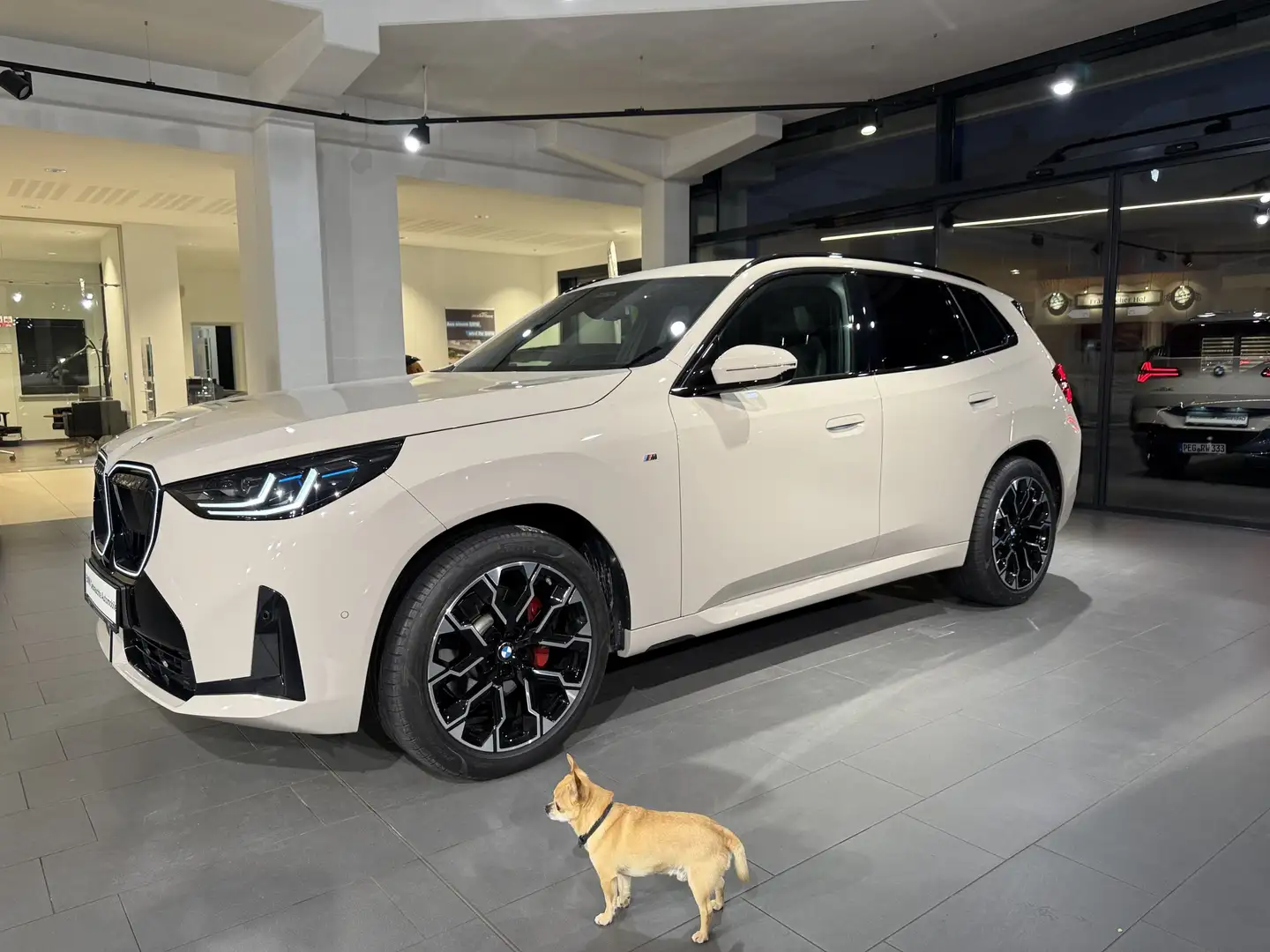 BMW X3 20d xDrive M Sport M Sportpaket HK HiFi DAB Grau - 2