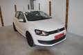 Volkswagen Polo 1.2 TDI ** Zahnriemen neu**Pickerl 11/26** Weiß - thumbnail 1