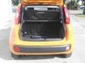 Fiat Panda 3ª 1.2 Easy Finanziato Arancione - thumbnail 11