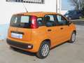 Fiat Panda 3ª 1.2 Easy Finanziato Arancione - thumbnail 12
