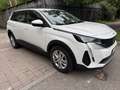 Peugeot 5008 1.5 bluehdi Active Business s&s 130cv 7 posti Blanc - thumbnail 3