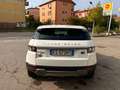 Land Rover Range Rover Evoque NO INGENIUM! 5p 2.2  Dynamic 150cv SOLO 85000KM Blanc - thumbnail 4