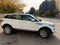 Land Rover Range Rover Evoque NO INGENIUM! 5p 2.2  Dynamic 150cv SOLO 85000KM Blanc - thumbnail 6