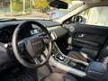 Land Rover Range Rover Evoque NO INGENIUM! 5p 2.2  Dynamic 150cv SOLO 85000KM Blanc - thumbnail 10