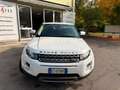 Land Rover Range Rover Evoque NO INGENIUM! 5p 2.2  Dynamic 150cv SOLO 85000KM Blanc - thumbnail 8