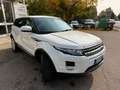 Land Rover Range Rover Evoque NO INGENIUM! 5p 2.2  Dynamic 150cv SOLO 85000KM Blanc - thumbnail 7