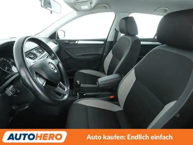 Skoda Rapid view 10