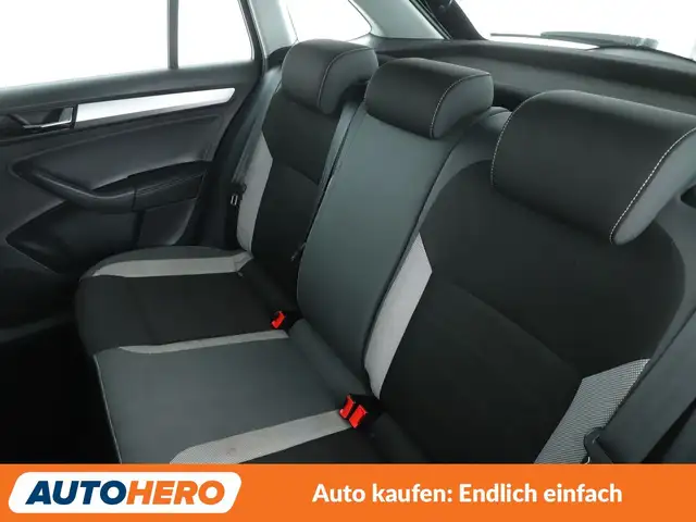 Skoda Rapid view 14