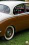 Jaguar Jaguar Mk II 2.4 – Britische Eleganz der 1960er Beige - thumbnail 11