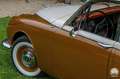Jaguar Jaguar Mk II 2.4 – Britische Eleganz der 1960er Beige - thumbnail 13