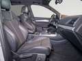 Audi Q5 50 TDI quattro Sport tiptronic S-line AHK Klima Weiß - thumbnail 9