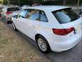 Audi A3 A3 SB Ambiente 1,6 TDI S-tronic Ambiente Weiß - thumbnail 3
