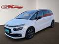Citroen Grand C4 SpaceTourer PureTech 130 Stop&Start EAT8 SHINE Panorama-Glasda Blanco - thumbnail 12