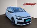 Citroen Grand C4 SpaceTourer PureTech 130 Stop&Start EAT8 SHINE Panorama-Glasda Blanco - thumbnail 10
