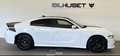 Dodge Charger 5.7 V8 HEMI DAYTONA Weiß - thumbnail 3