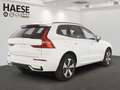 Volvo XC60 T6 Plus Dark Recharge Plug-In Hybrid AWD el.AHK Vo Weiß - thumbnail 3