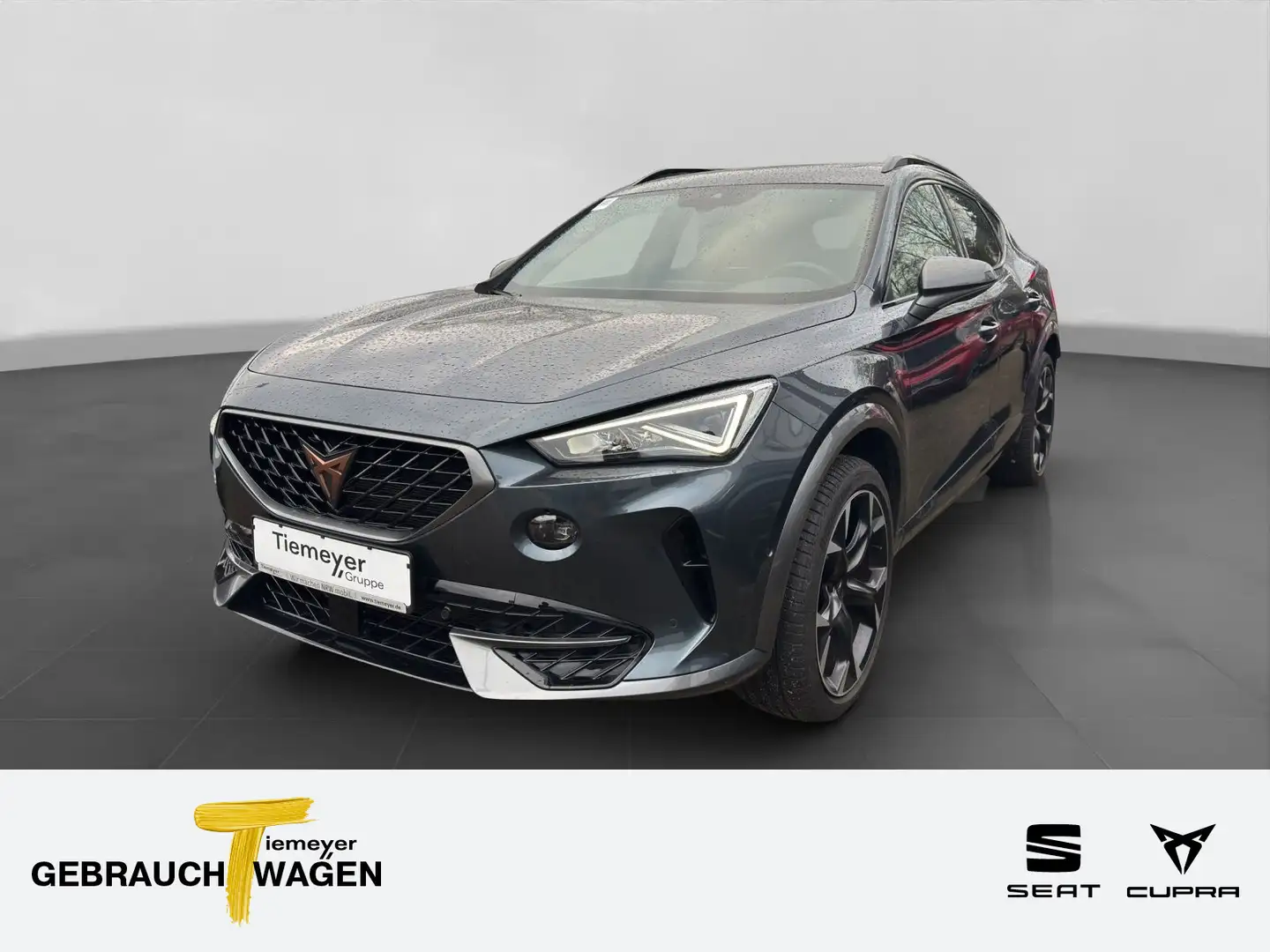 CUPRA Formentor TSI DSG PANO KAMERA MEMORY Grau - 1