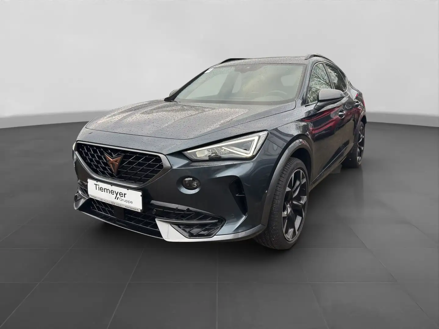 CUPRA Formentor TSI DSG PANO KAMERA MEMORY Grau - 2