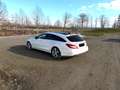 Mercedes-Benz CLS 500 CLS 500 Shooting Brake 4MATIC Aut. Silber - thumbnail 5