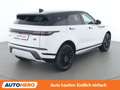 Land Rover Range Rover Evoque D165 Mild-Hybrid S R-Dynamic Weiß - thumbnail 6