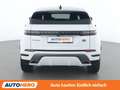 Land Rover Range Rover Evoque D165 Mild-Hybrid S R-Dynamic Weiß - thumbnail 5