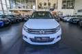 Volkswagen Tiguan 4Motion CityScape/Bi-Xenon/Business/AHK Blanco - thumbnail 2