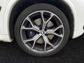 BMW X5 M 50i M Sport|AHK|Pano|Laser|HUD|HiFi Weiß - thumbnail 5