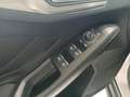 Ford Focus 1,5 EcoBlue Titanium Aut. Silber - thumbnail 13