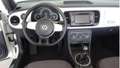 Volkswagen Beetle Beetle Cabrio 1,2 TSI Weiß - thumbnail 3