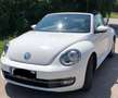 Volkswagen Beetle Beetle Cabrio 1,2 TSI Weiß - thumbnail 5