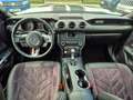 Ford Mustang 3.7 V6 305PS Automatik Blanc - thumbnail 9