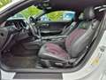 Ford Mustang 3.7 V6 305PS Automatik Blanc - thumbnail 10