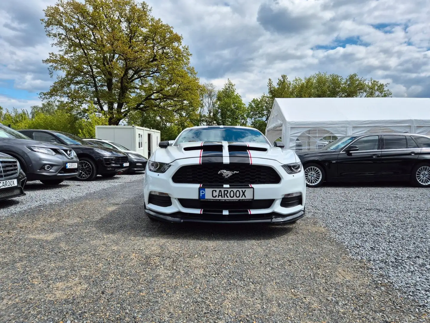 Ford Mustang 3.7 V6 305PS Automatik Wit - 2