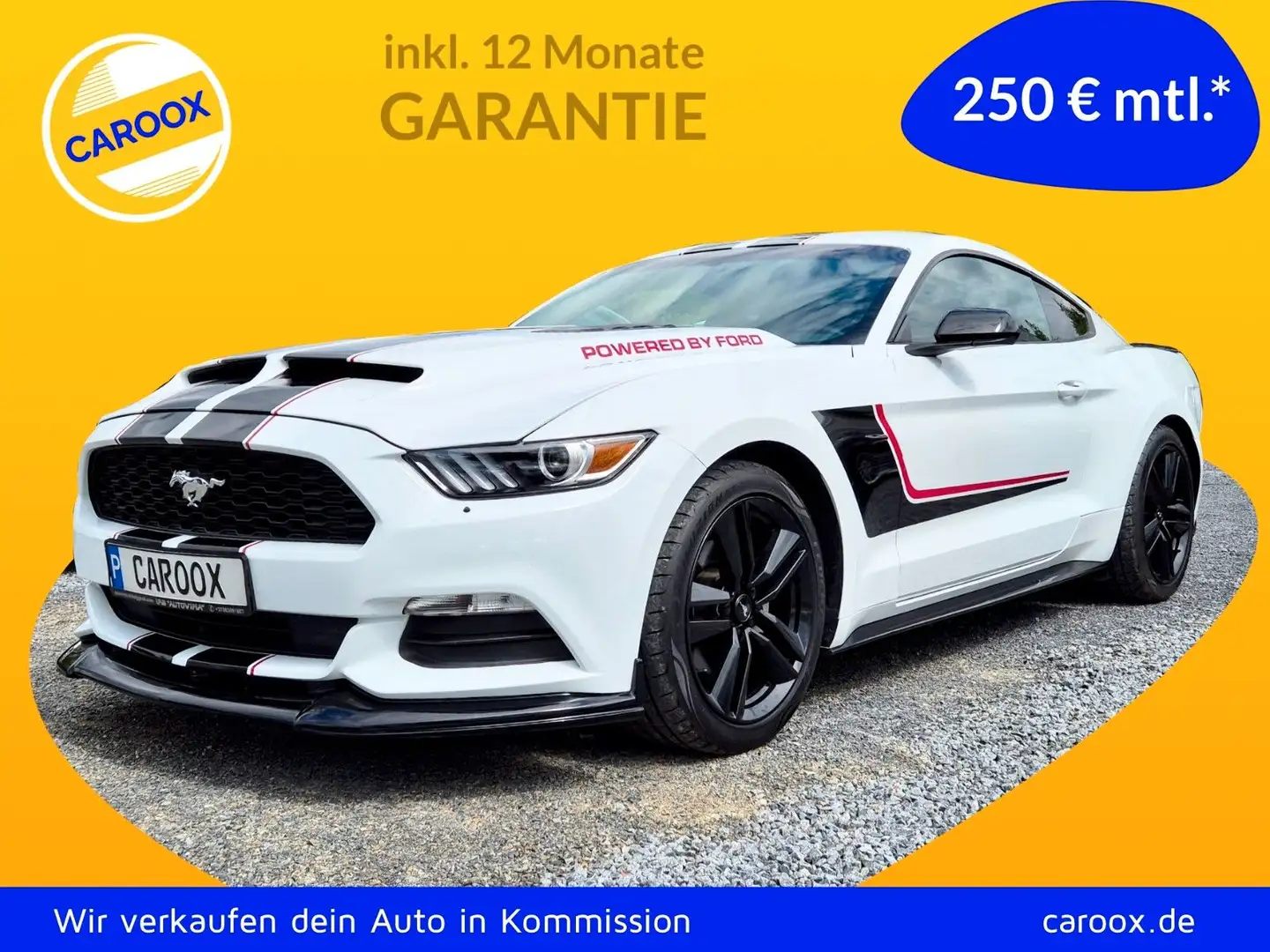 Ford Mustang 3.7 V6 305PS Automatik Weiß - 1