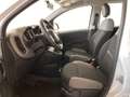Fiat Panda 1,0 FireFly Hybrid 70 Hybrid Weiß - thumbnail 7