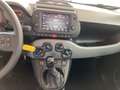 Fiat Panda 1,0 FireFly Hybrid 70 Hybrid Weiß - thumbnail 9