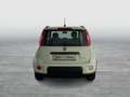 Fiat Panda 1,0 FireFly Hybrid 70 Hybrid Weiß - thumbnail 4