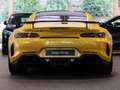 Mercedes-Benz AMG GT R Solarbeam/Keramik/Burm/Carbon - thumbnail 19