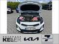Kia XCeed 1.6 GDI DCT6 OPF Plug-in-Hybrid SPIRIT Weiß - thumbnail 15