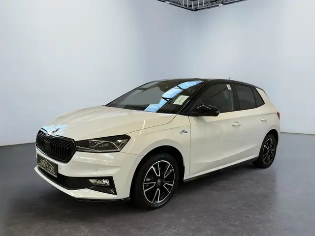 Skoda Fabia view 2