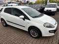 Fiat Punto Evo 1.2.MyLife.Klima.PDC. Blanc - thumbnail 5