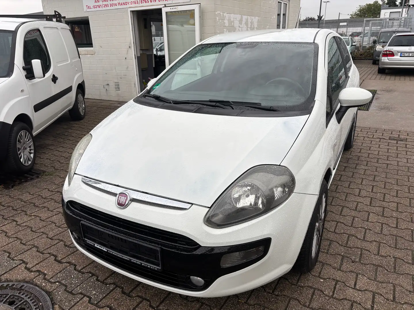 Fiat Punto Evo 1.2.MyLife.Klima.PDC. Weiß - 2